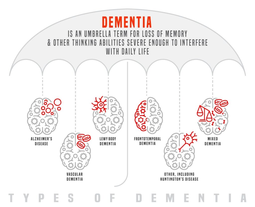 A dementia infographic listing the different types of dementia.